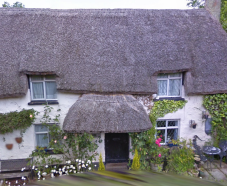 Thatched